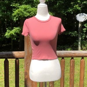 Short Sleeve Fitted Crop Top